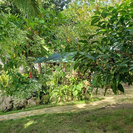 Zapote Tree Inn فلوريس المظهر الخارجي الصورة