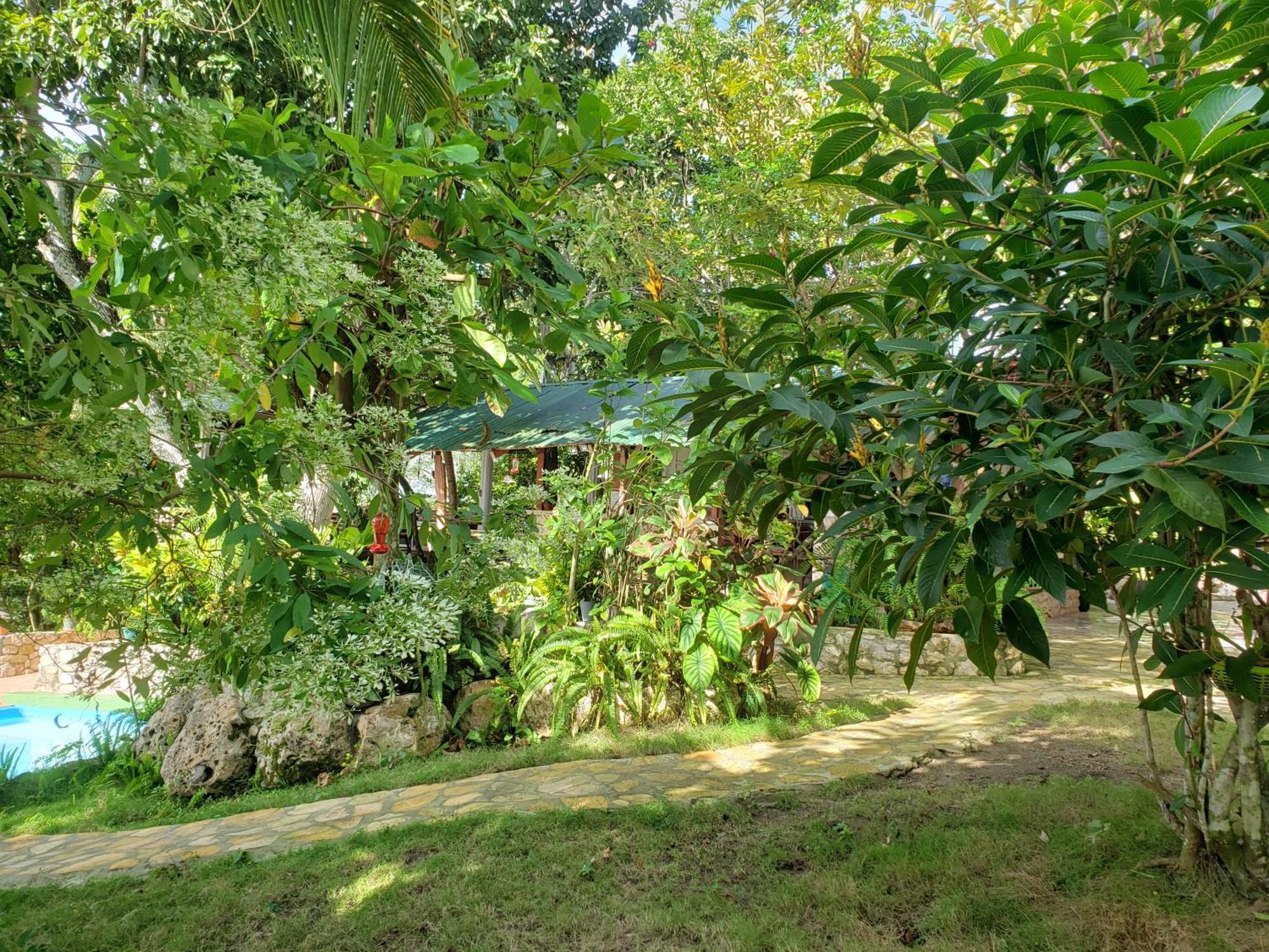 Zapote Tree Inn فلوريس المظهر الخارجي الصورة