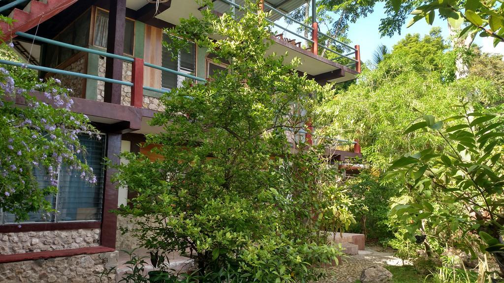 Zapote Tree Inn فلوريس المظهر الخارجي الصورة