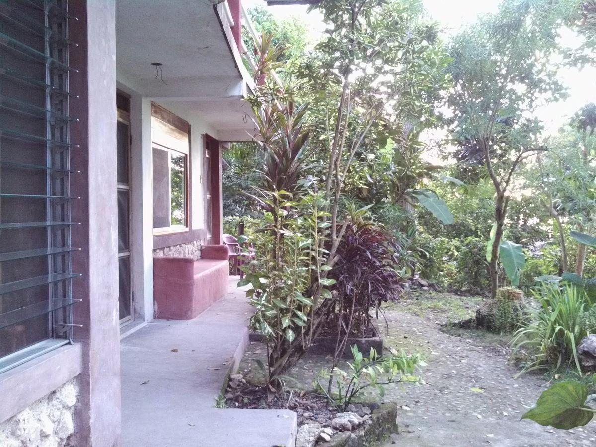 Zapote Tree Inn فلوريس المظهر الخارجي الصورة